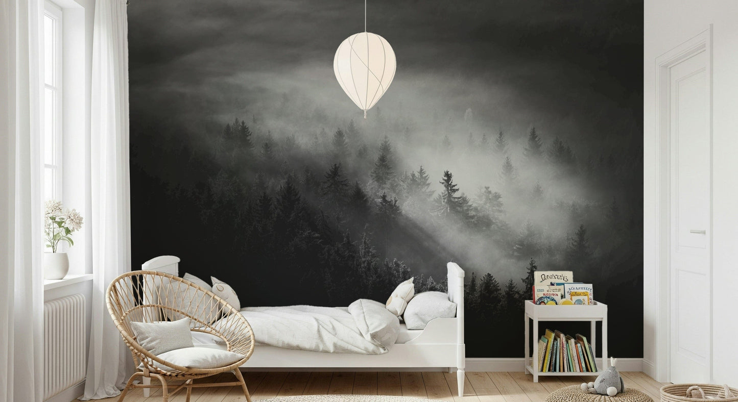 Foggy Forest Woodland mural, ethereal monochrome pines, dramatic nature art.