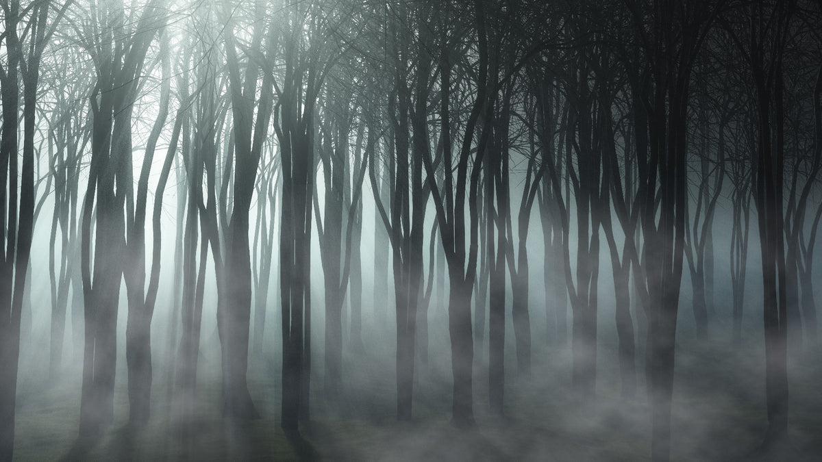Misty Forest Halloween Peel and Stick Wallpaper for Decor in your room
