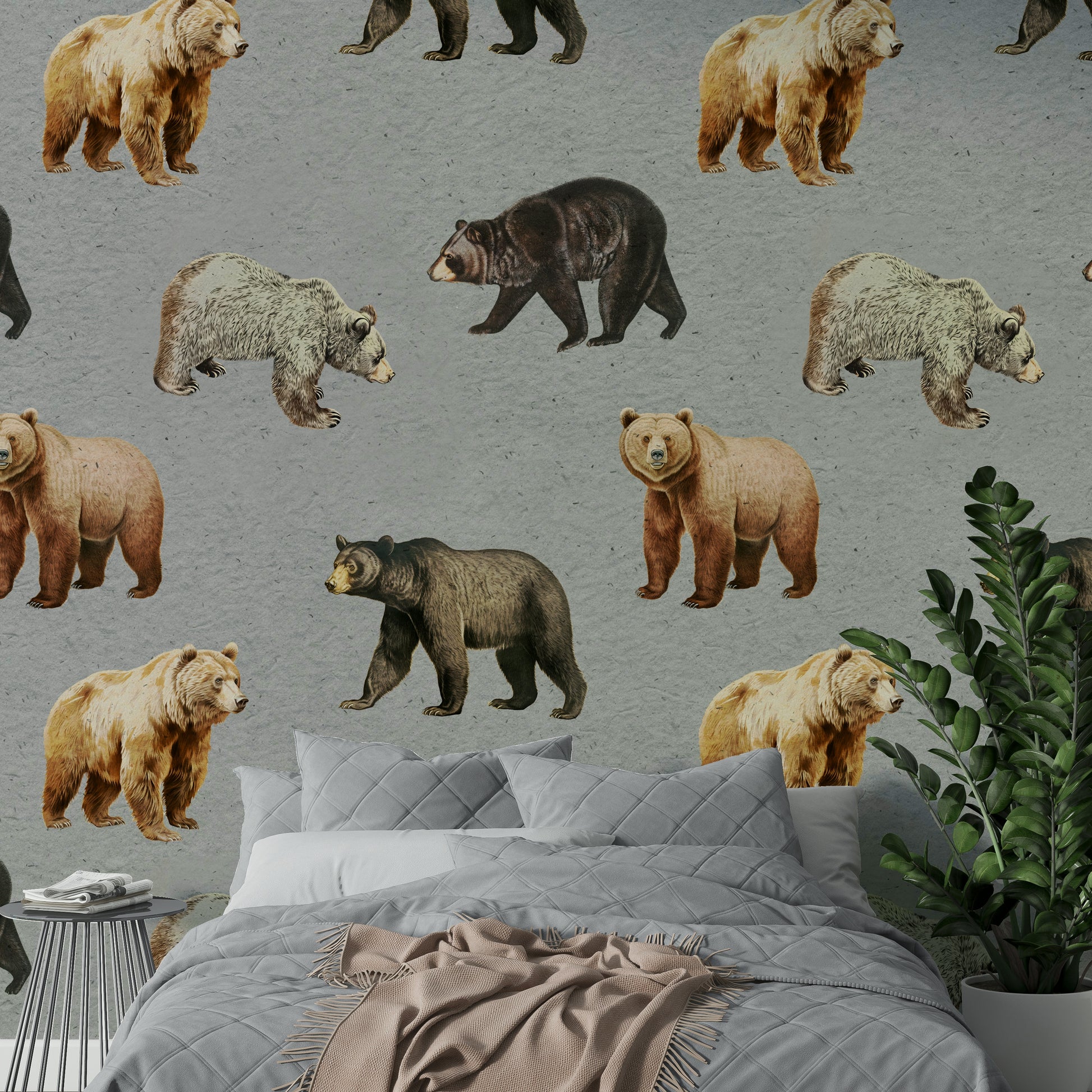 Brown and black bear wallpaper

