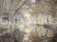 A detail of the warm tones in the grass and sky.

