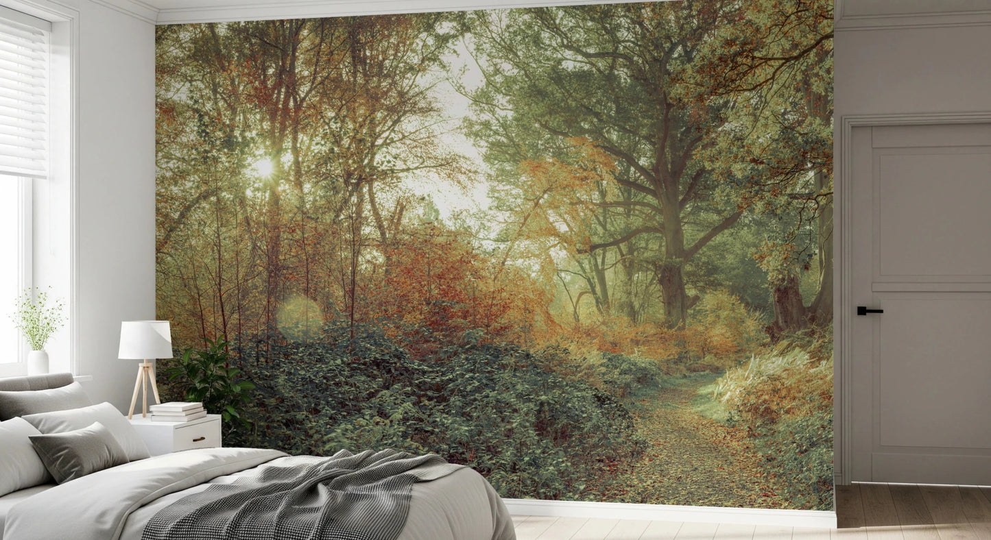 Forest Glow Wall Mural