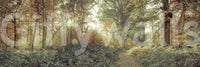 Forest Glow Wall Mural