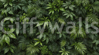 The image has a soothing and very natural mood.
