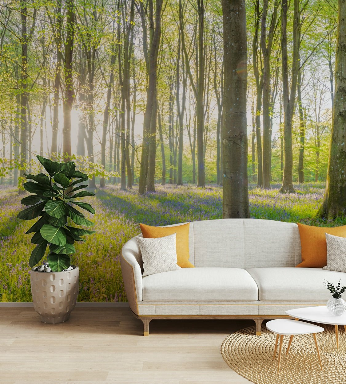Golden sunlight lighting up a serene forest path mural

