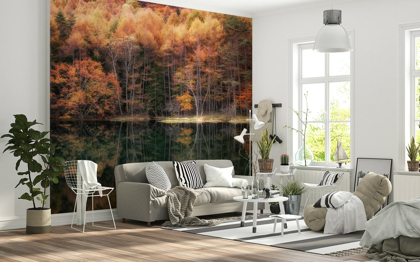 Stunning lake reflection scenic wall mural; deep greens and bright amber forest view.