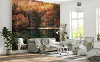Stunning lake reflection scenic wall mural; deep greens and bright amber forest view.