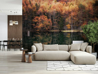 Forest Mirror mural Autumn foliage reflecting serenely on dark water surface.