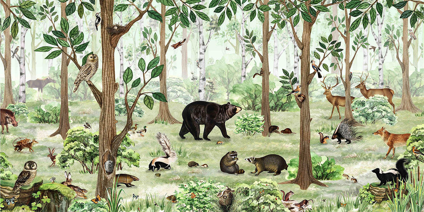 Forest Lookbook Wallpaper Murals