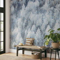 Dreamy and ethereal winter atmosphere.

