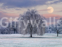 A peaceful, frosty meadow design bringing serenity indoors

