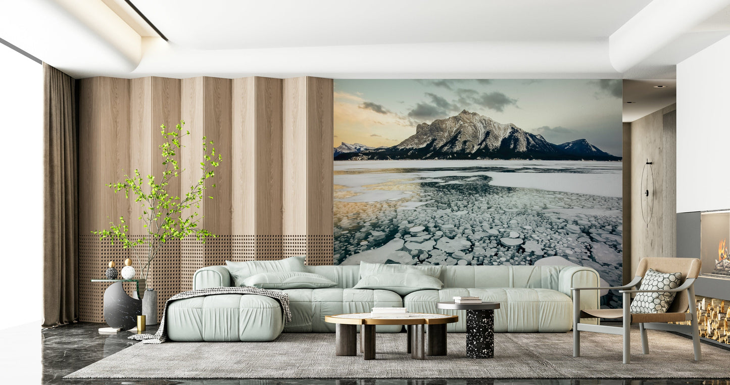 Frozen Bubbles: Mountain Vista Wall Mural -2414949