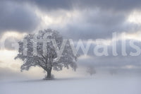 Gorgeous forest wall mural, white powder, ghostly trees, unique art.