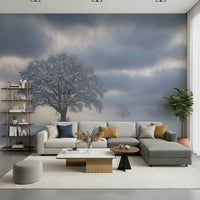 Wallpaper for walls, crisp air, foggy background, picturesque view.