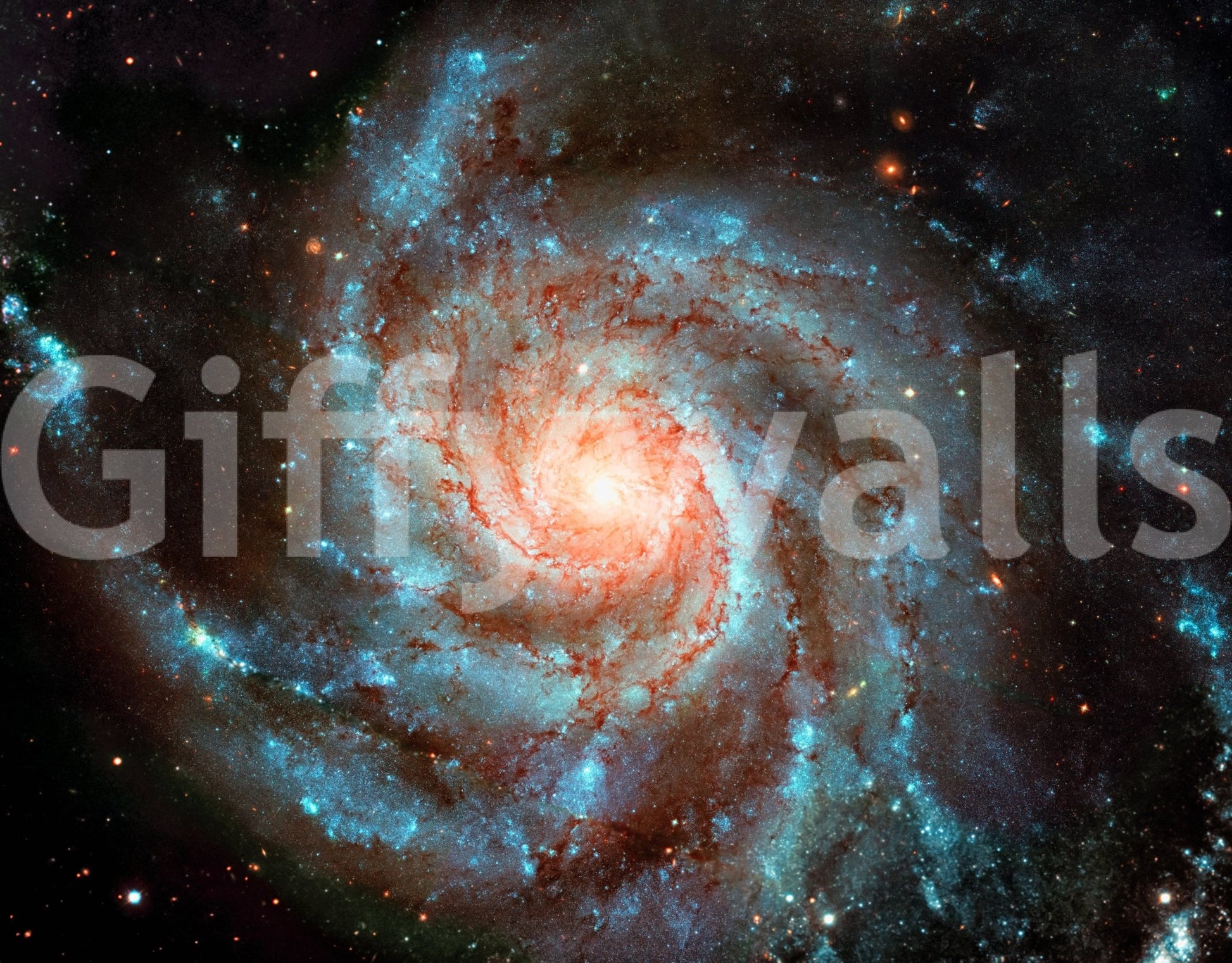 The wallpaper has a smooth, non-reflective matte finish.

