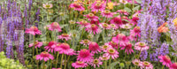 Wildflower mural for bedrooms

