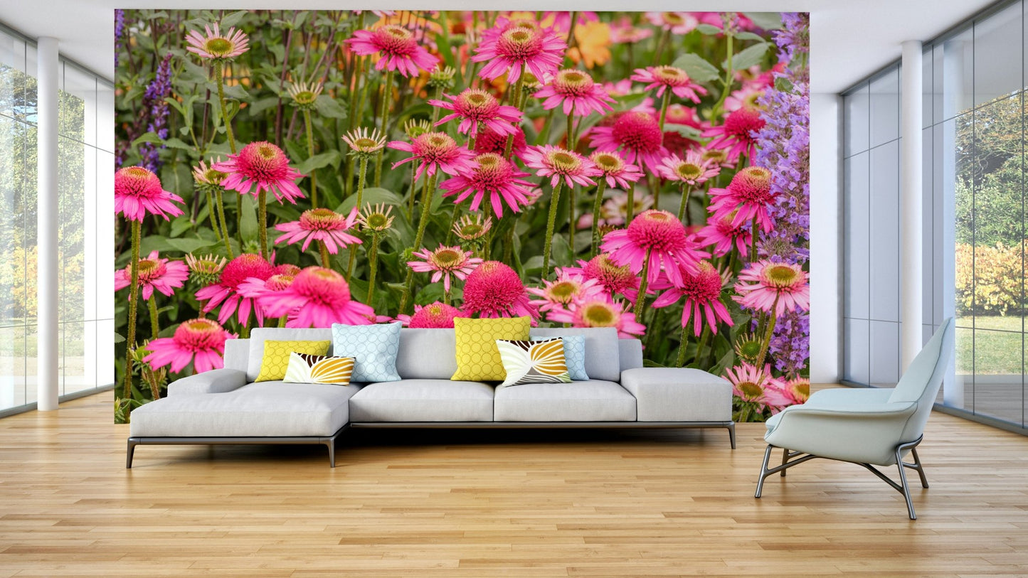 Natural wildflowers for walls

