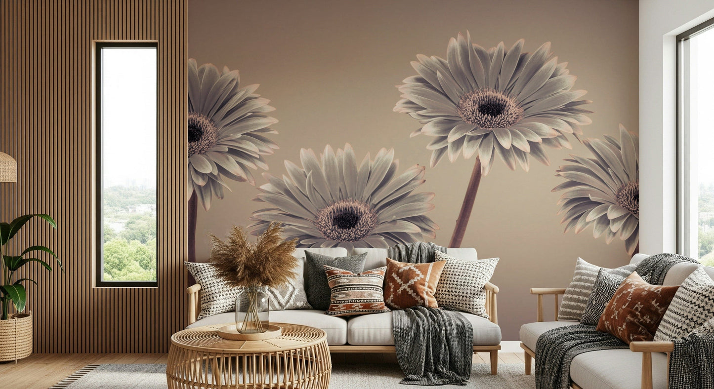 Abstract flower close up Gerbera Calm peaceful mural design element