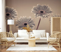 Gerbera Calm floral photography mural beautiful monochrome flowers