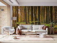 Gilded Woods mural wallpaper: Autumn forest panorama with tall trees.