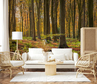Tranquil Gilded Woods mural for walls, capturing a glorious day.