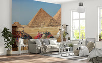 Giza wall mural of the pyramids and camels behind a grey sofa and white wire chairs in a living room