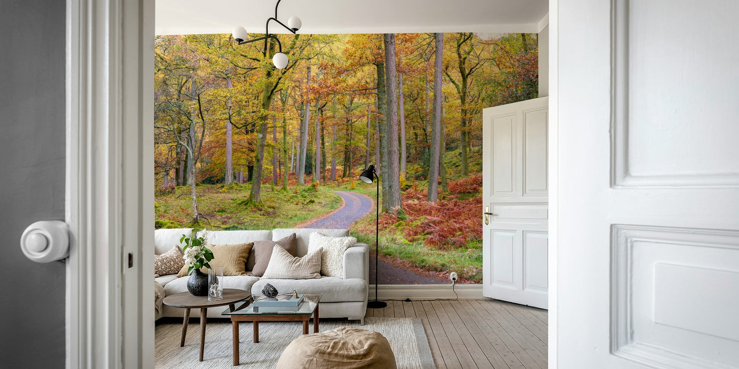 Warm and inviting Golden Autumn Drive wall mural for home.


