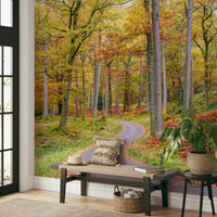 Golden Autumn Drive wall mural adding warmth to any room.

