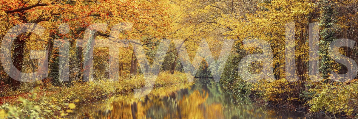 The stream is a central focus of the image.

