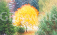 Cozy fall nature wallpaper for walls
