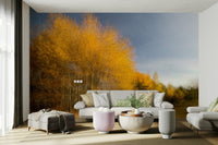 Warm sunlight filters through the leaves, creating a glowing effect.

