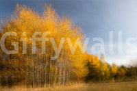 The Golden Autumn Trees mural gives the room a natural, peaceful feel.

