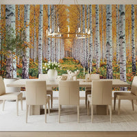 Golden Birch Forest Path wall mural with white trunks and autumn woodland