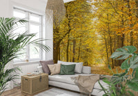 Warm yellow trees lining Golden Canopy Trail trail scenic wall decor.