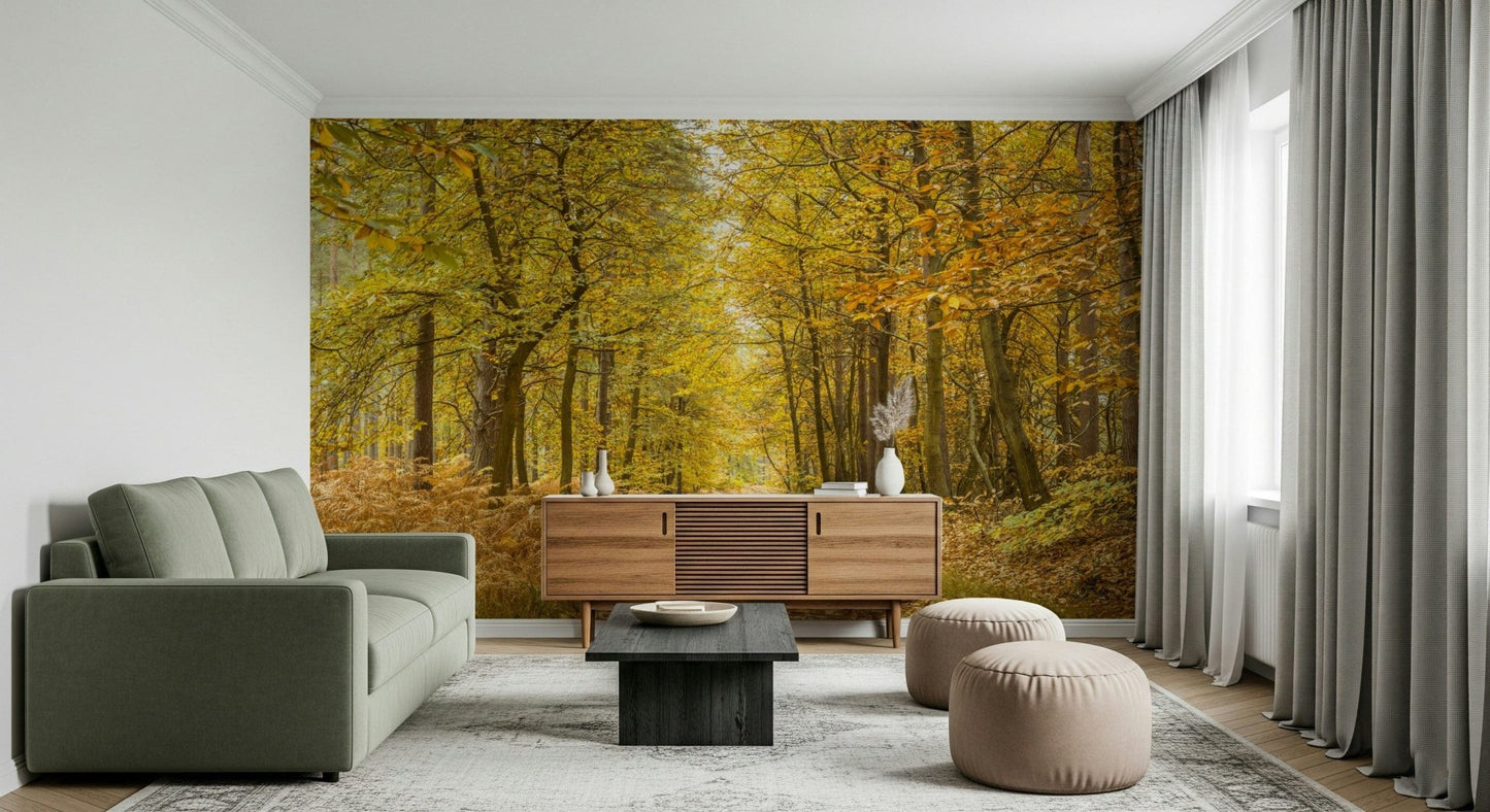 Inspiring Golden Canopy Trail canopy view forest photograph surface covering.