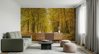 Inspiring Golden Canopy Trail canopy view forest photograph surface covering.