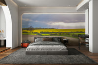 A close-up of the delicate wheat and barley.

