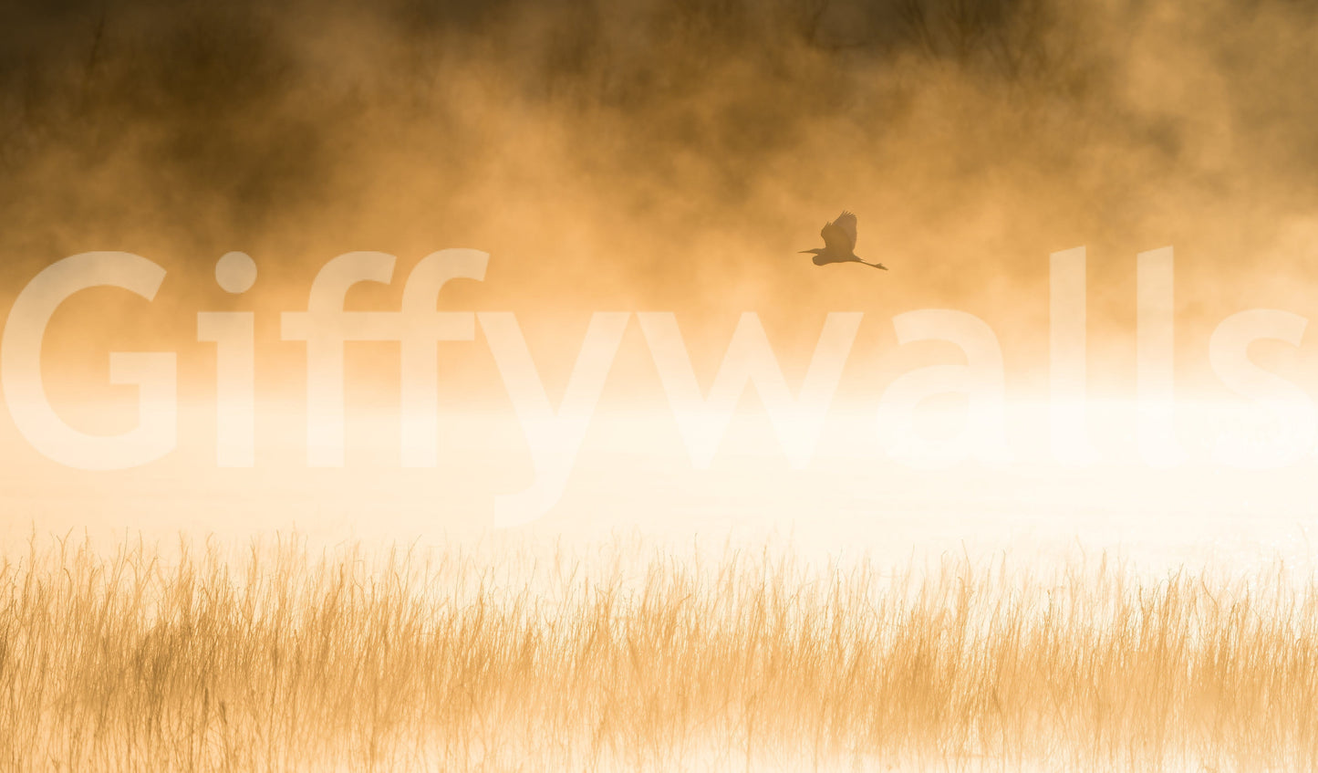 Golden Hour Flight Wall Mural -2227022