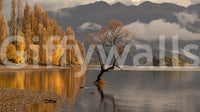 Autumn’s Reflection Woodland Wall Mural behind sofa, golden color forest reflection.