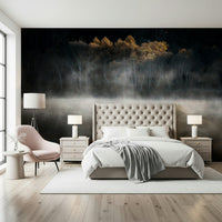 Mist and Light Woodland photo, reflective water surface, mysterious autumn vista.