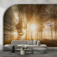 Bright mystical morning Golden Rays Through Trees wall design.
