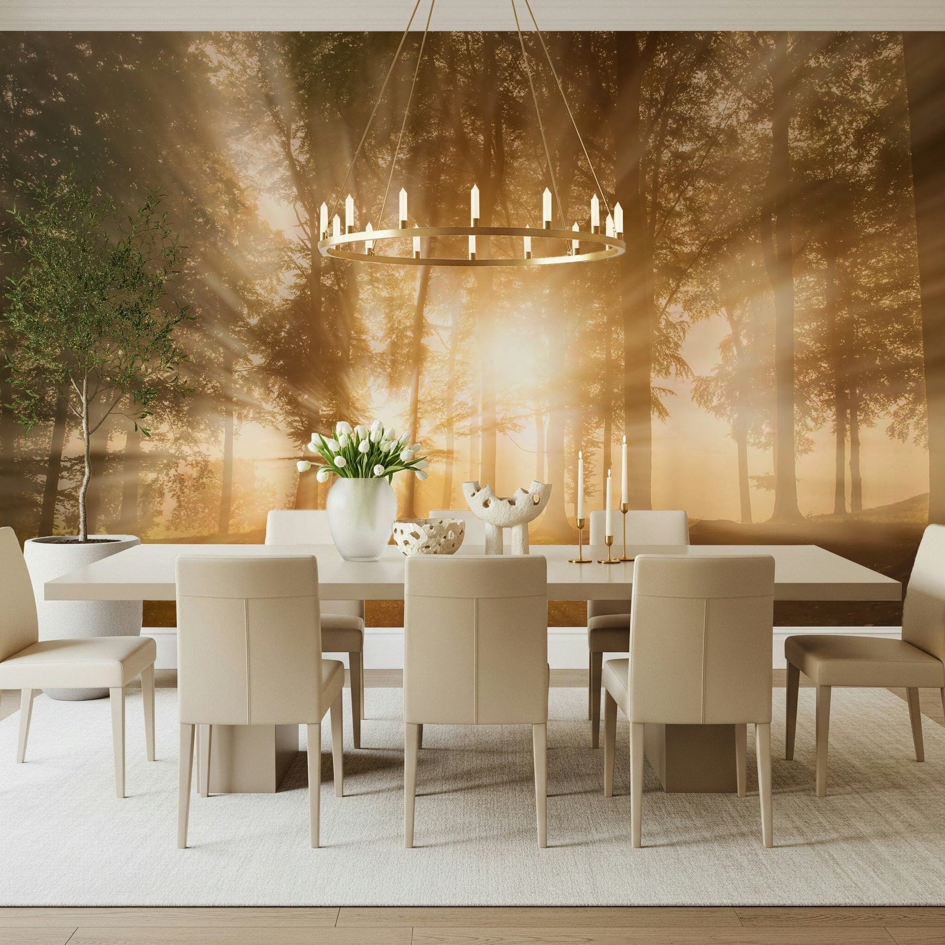 Enveloping warmth Golden Rays Through Trees photography wall mural.