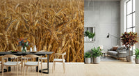 Close-up view, amber sheaves, Golden Wheat Field Bliss art.