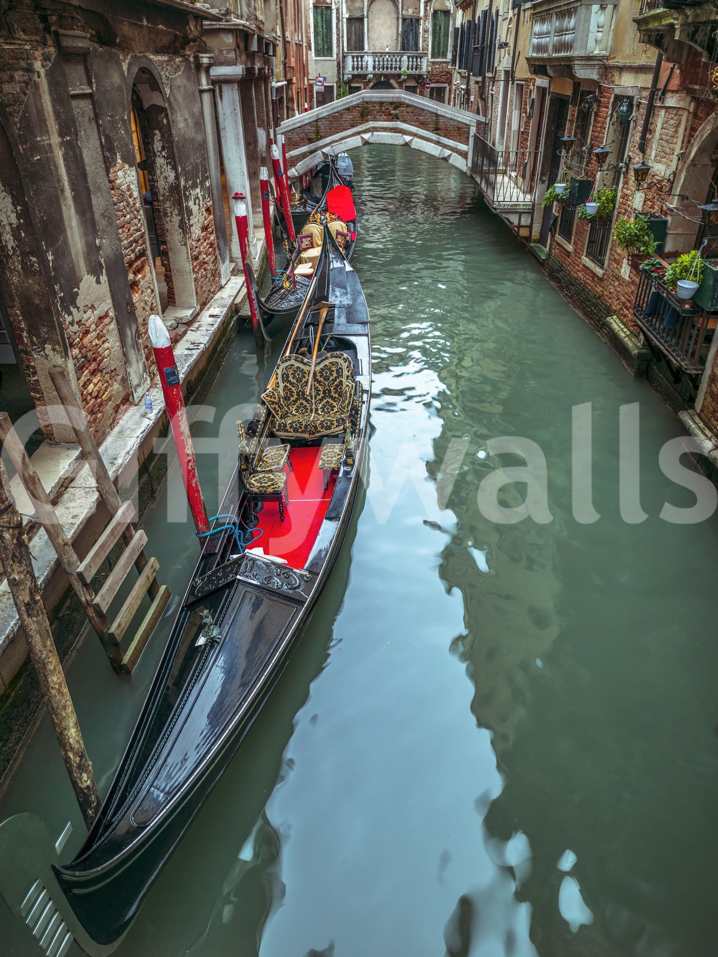 Gondola Dream product, vibrant red accents, serene green water.
