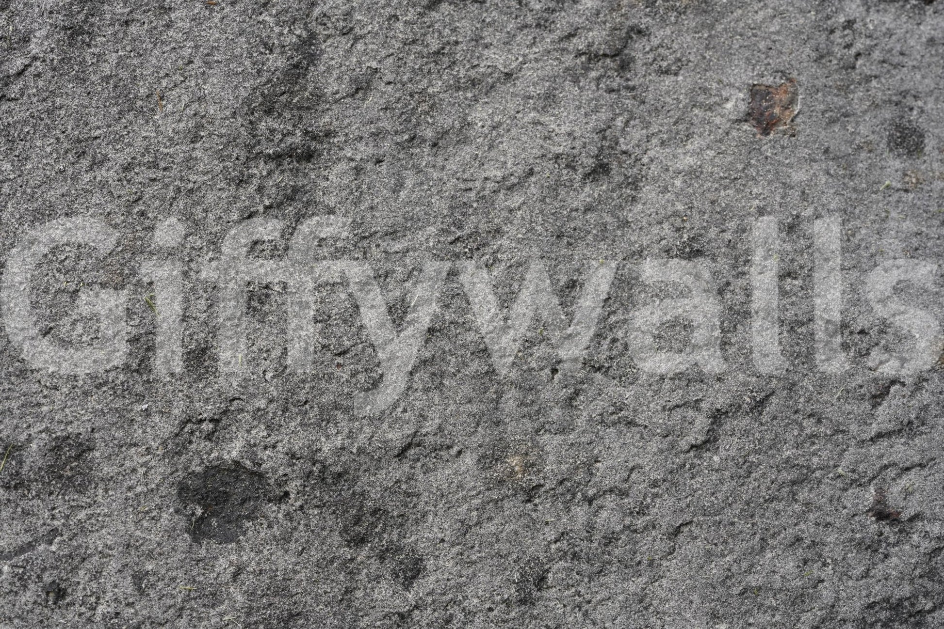 Granite Gray wallpaper mural close-up showing the mottled dark grey granite stone pattern detail