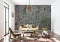 Granite Gray wallpaper mural behind a rattan daybed under a wicker pendant with an olive tree
