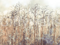 Nature-themed grass wall mural for calming home decor.

