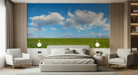 Serene Grassland Under Sky design for wallcovering.