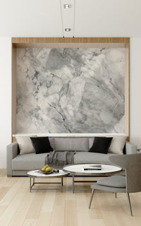 Decorative wall mural showcasing realistic gray marble patterns for a sophisticated interior.
