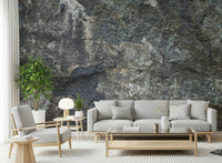 Rock mural feature wall in hallway, modern console table and simple decor accents