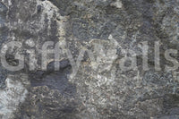 Nature rock wallpaper mural in lounge, modern decor with neutral color accessories